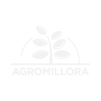 Agromillora Agencia Palta